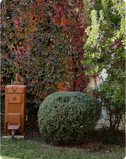 Jardim-Digital-Carrossel-1.png