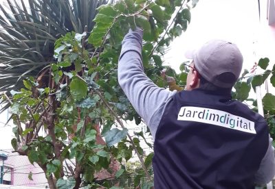 jardineiro jardineiro